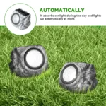 DAYBETTER Solar Rock Lights Outdoor, 1 Pack Super Bright Solar Spot Lights Outdoor - Image 5