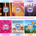 Air Jungles Car Air Freshener Clip, 6 Variety Vent Clips, 4ml Each, Long Lasting Air Freshener for Car, Up to 180 Days Car Refresher Odor Eliminator - Image 2